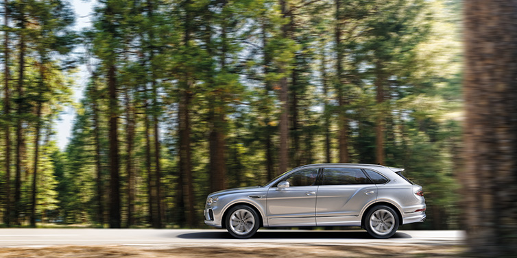 Bentley Mougins Bentley Bentayga Extended Wheelbase SUV in Moonbeam paint driving dynamically on a forest road